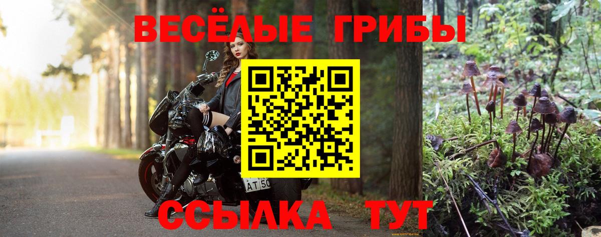 Керчь  закладки  Вход с VPN  Псилоцибиновые грибы ЛСД 